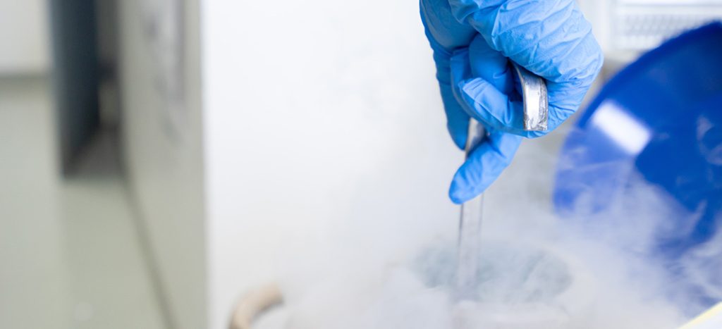 Egg freezing and fertility preservation – Dr I Ferne Tan Sydney