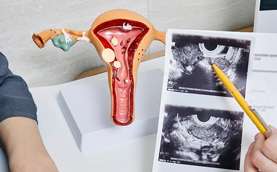 X-ray medical imaging – Dr I Ferne Tan Sydney