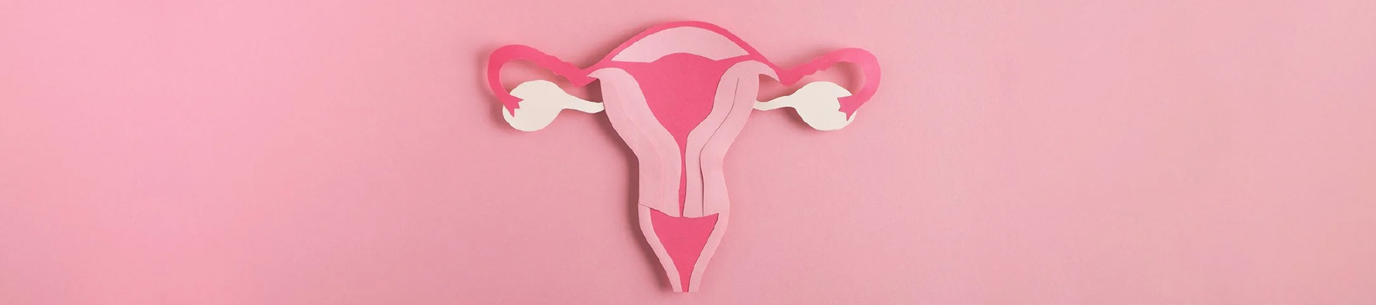 Female Fertility Testing