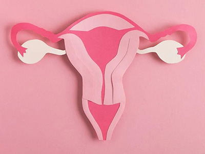 Female fertility thumb – Dr I Ferne Tan Sydney