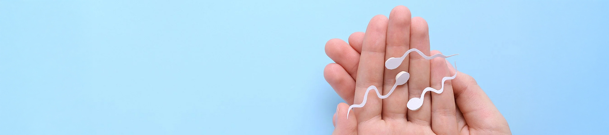 Male Fertility Testing