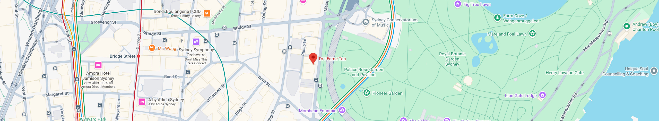 Map showing Dr I Ferne Tan clinic location in Sydney CBD